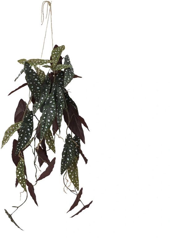 Buitengewoon Boet Kunstplant Begonia Polka - 105 cm