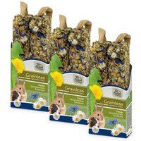 JR Farm Grainless Farmy's madeliefjes-graanbloem 3 stuks