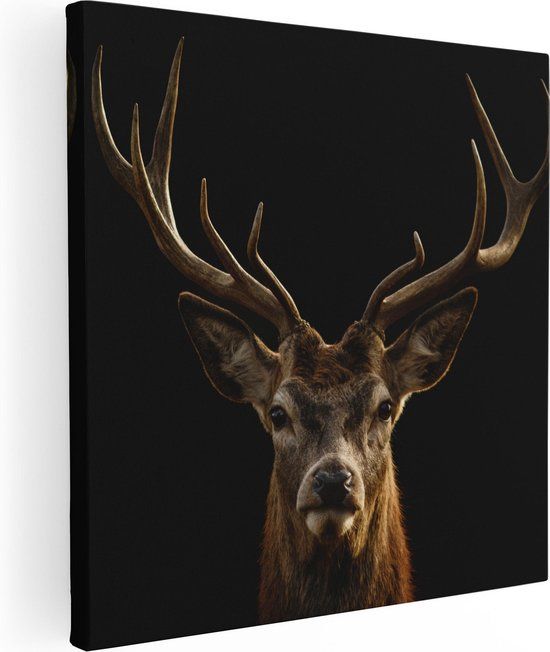 Artaza Canvas Schilderij Hertenkop - Hert - 40x40 cm - Canvas Print