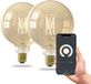 Calex Lampe connectée - Lot de 2 - Éclairage filament LED Wifi - Globe 12.5cm - E27 - Source lumineuse connectée Or - Dimmable - Lumière blanc chaud