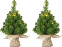 Mica Decorations Edelman Bv 3x Mini Kunst Kerstboom met 15 LED Lampjes 60 cm
