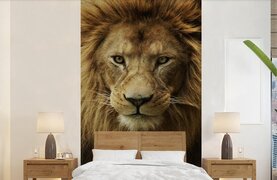 Nr1Wallpaper Behang - Fotobehang Portret - Afrika - Leeuw - Breedte 150 cm x hoogte 240 cm