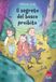 Il Gallucci Bros Il segreto del bosco proibito Paperback