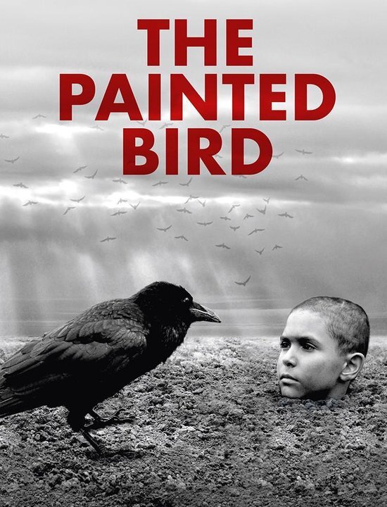 - The Painted Bird dvd