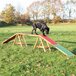 Trixie Dog Activity Agility Loopplank - 456 x 64 x 30 cm - Rood/Groen