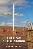 American University Of Pennsylvania Press America in the Nineteenth Century- American Burial Ground Paperback