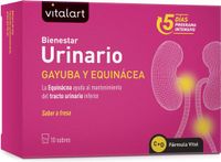 VITALART Urinewegen Complex, 10 Sachets