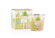 Baobab My First Baobab Miami Bougie parfumée Multicolore