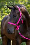 Abi Covalliero Hippo Hoofdband Roze - Shetty Maat