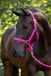 Abi Covalliero Hippo Hoofdband Roze - Shetty Maat