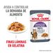 Royal Canin Appetite Control Gelee 85 g