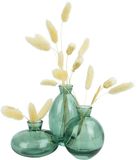 QUVIO Vazen Set of 3 - Glass Vases for Dried Flowers - Green - 7x12cm