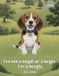 I’m Libri GmbH I’m not a bagel or a bugle, I'm a beagle