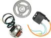Bosch Système d'allumage complet DMP pour Kreidler, Zündapp