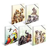 HERMA 19956 Verzamelmappen A4 exotische dierenassortiment, 10 stuks