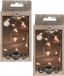 Anna's Collection Draadverlichting - 2x - 100 LED lampjes - Warm wit - Zilver draad - 500 cm