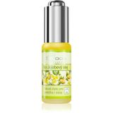 Saloos Coconut Care Chocolate Body Moisturizing Oil - 100 ml