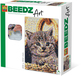 SES Creative SES Beedz Art - Poes - Kat - 7000 Strijkkralen - Kunstwerk - 12+