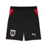 Puma Sportbroek Öfb Shorts Replica 783212 Mannen 3XL Puma Black-Puma Red