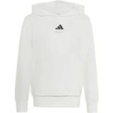 Adidas Sweatshirt met capuchon met slogan kind adidas