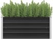 Maison Exclusive - Rehausseur de jardin, anthracite, 100 x 40 x 45 cm, acier galvanisé