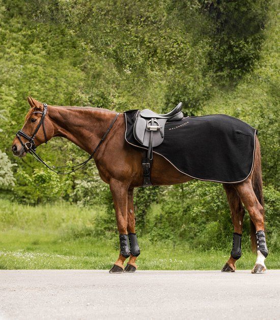Modern Rosé Exercise Sheet - Black/Rosegold Old - Horse Sweat Sheet