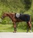 Waldhausen Modern Rosé Exercise Sheet - Black/Rosegold Old - Horse Sweat Sheet