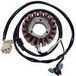 REDD PARTS SLU Sgr Trifase 18 Poles Yamaha T-max 530 Stator Noir