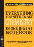 Everything Workman Publishing Everything You Need to Ace Chemistry in One Big Fat Notebook
