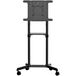 StarTech.com MBLTVSTNDEC Zwarte Verrijdbare TV Standaard voor 37-70 inch Schermen