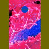 Synaesthesia Death Ambient Synaesthesia