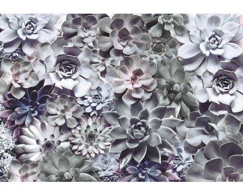 KOMAR Fotobehang papier bloemen Shades 8-962 368 x 254 cm