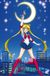 Your Decoration B.V. Poster Sailor Moon 61x91,5cm