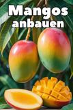 Mangos anbauen: Ein umfassender Ratgeber für den erfolgreichen Mangoanbau mit hohen Erträgen und qualitativ hochwertigen Früchten