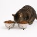 Nobleza Double Chien Alimentation et Chat Alimentation - 2 x 200 ml - Inox - Bol avec Support - Antidérapant - Taille S