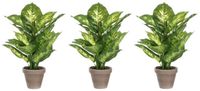 Mica Decorations Kunstplant Dieffenbachia - Voordeelset van 4x stuks - groen - 40 cm