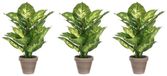 Mica Decorations Kunstplant Dieffenbachia - Voordeelset van 4x stuks - groen - 40 cm