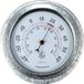 Lily NeXtime Lily Thermometer, 22 cm, Metal, Galvanized Silver