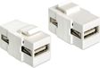 Delock Keystone Module USB 2.0 A Female - USB 2.0 A Female Wit