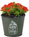 Sunnydays Plantenpot - Zink - Legergroen - D17 x H14 cm
