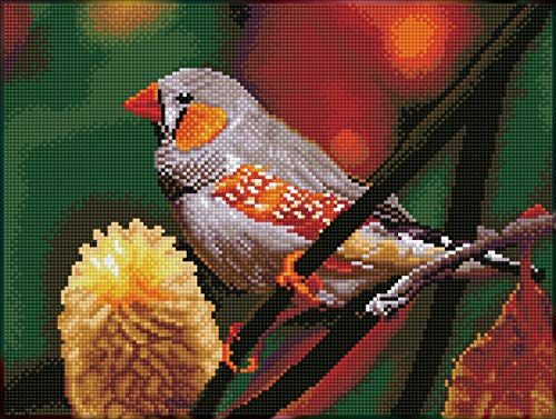 Diamond Dotz DQ8-016 Squares Gouldian Finch Diamond Painting Kit - 31 x 41 cm