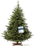 Merkloos Kerstboom Kunstkerstboom - Spuitgegoten PE - 180 cm - Essenhouten Standaard - Groen