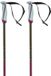 Volkl Phantastick Skistokken Paars 110 cm