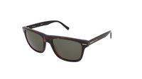 Pierre Cardin P.C. 6243/S Havana 56/17/140 MAN Zonnebrillen