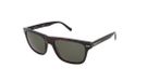 Pierre Cardin P.C. 6243/S Havana 56/17/140 MAN Zonnebrillen