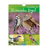 TRÖTSCH Wochenkalender zum Hängen Heimische Vögel 2027
