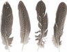 Merkloos Rayher Hobby Gmbh Decoratie - veren - Fazant - set van 4x stuks - Sierveren - 22cm