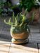 Bloomingville Bloempot aardewerk groen Imke Ø18cm