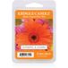 Kringle Candle Sunshine & Daisies Smelt wax voor Aromalampen 64 gr