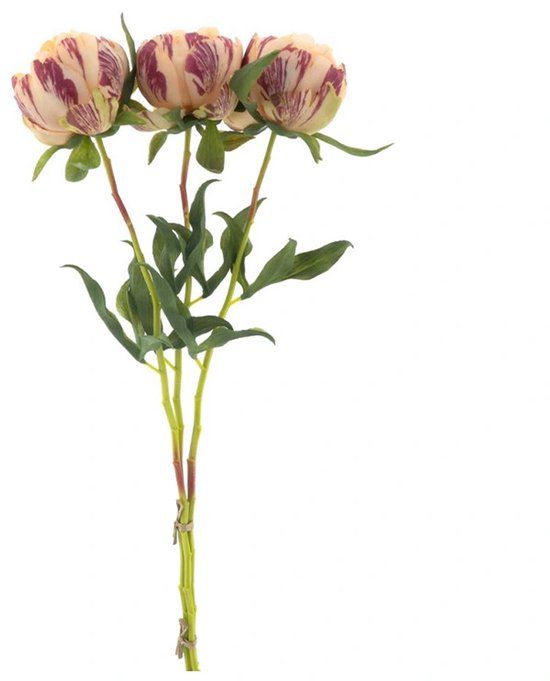 Nova Nature Kunstbloem Paeony Marlie Bundle Peach - 63 cm